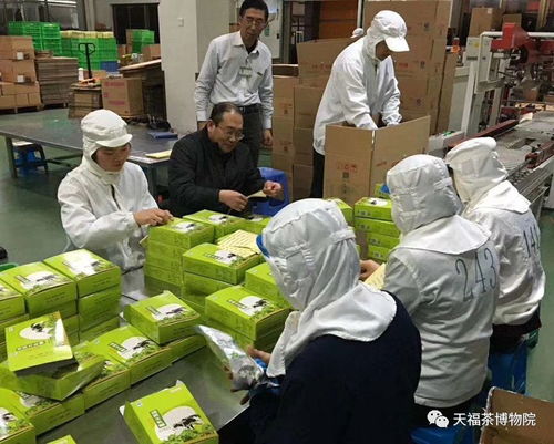 天福 茶業(yè)界第一品牌