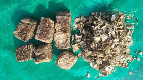 生物質(zhì)燃料熱值報價 廠家