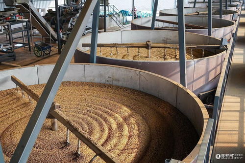 跑出加速度 德宏這家精品咖啡工廠從建設到投產僅用85天